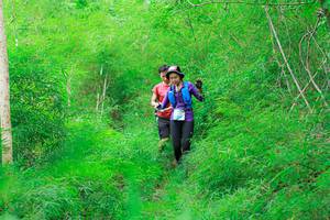 BIB: 
                            <button type="button" onclick="openModal(22093301)" class="btn btn-primary btn-sm float-right btn-popup" data-toggle="modal" data-target=".modal-high-quality">
                        <i class="fas fa-shopping-cart"></i> Add to Cart
                    </button>
                                            <button type="button" onclick="isThisMe(22093301, true)" class="btn btn-success btn-sm float-right btn-popup btn-isme hidden" data-toggle="tooltip" data-placement="bottom" title="นี่คือรูปของคุณใช่ไหม คลิกที่นี่เพื่อเอาเข้าอัลบั้ม">
                        <i class="fas fa-plus"></i> Add to album
                    </button>
                    <button type="button" onclick="isThisMe(22093301, false)" class="btn btn-warning btn-sm float-right btn-popup btn-isnotme hidden">
                        <i class="fas fa-ban"></i> Remove from album
                    </button>